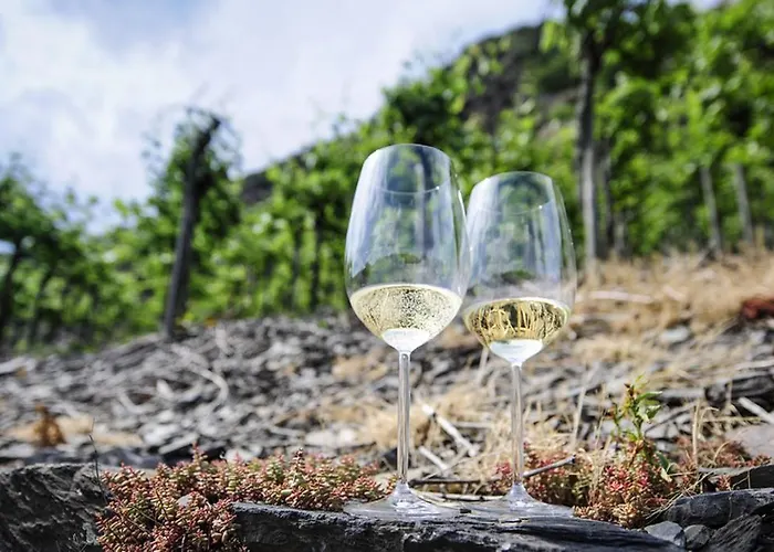 Haus Alte Rebe & Weisse Traube Apartamento Cochem